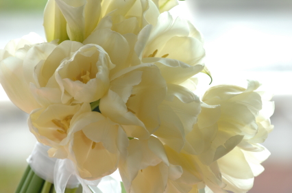 white wedding floral arrangements. White Bridal Arrangement